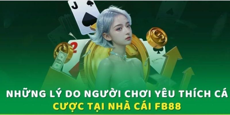 Những điểm nổi bật mà hệ thống nhà cái đem lại